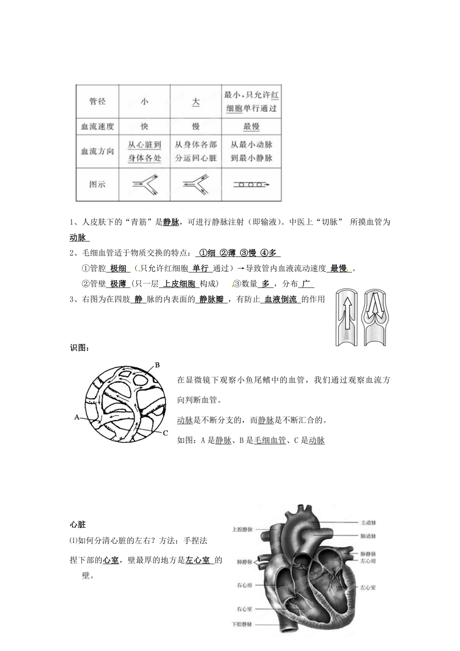 湖南省株洲市天元区马家河中学七年级生物下册《人体内物质的运输》教案新人教版.doc