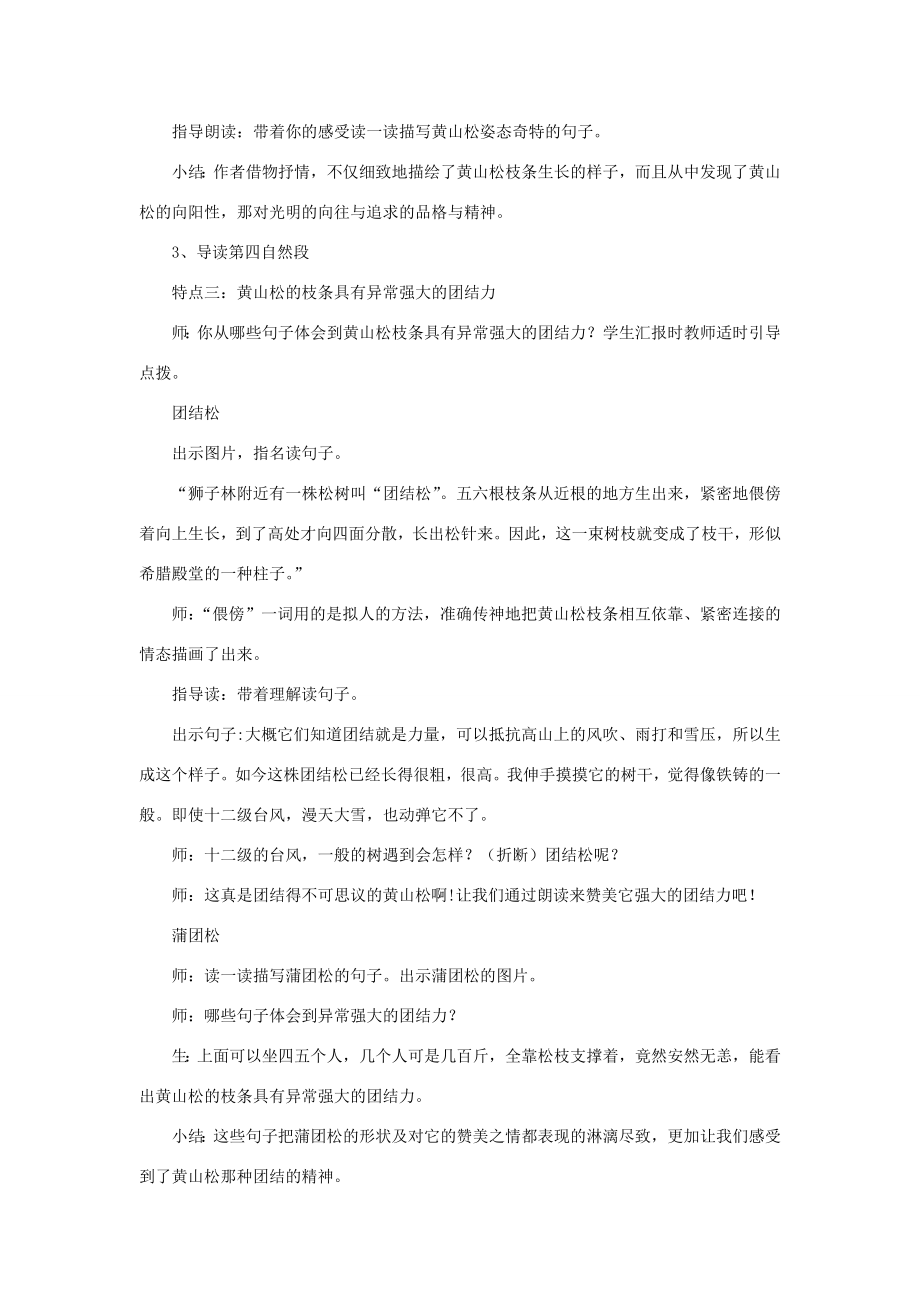 秋六年级语文上册《黄山松》教案北师大版北师大版小学六年级上册语文教案.doc