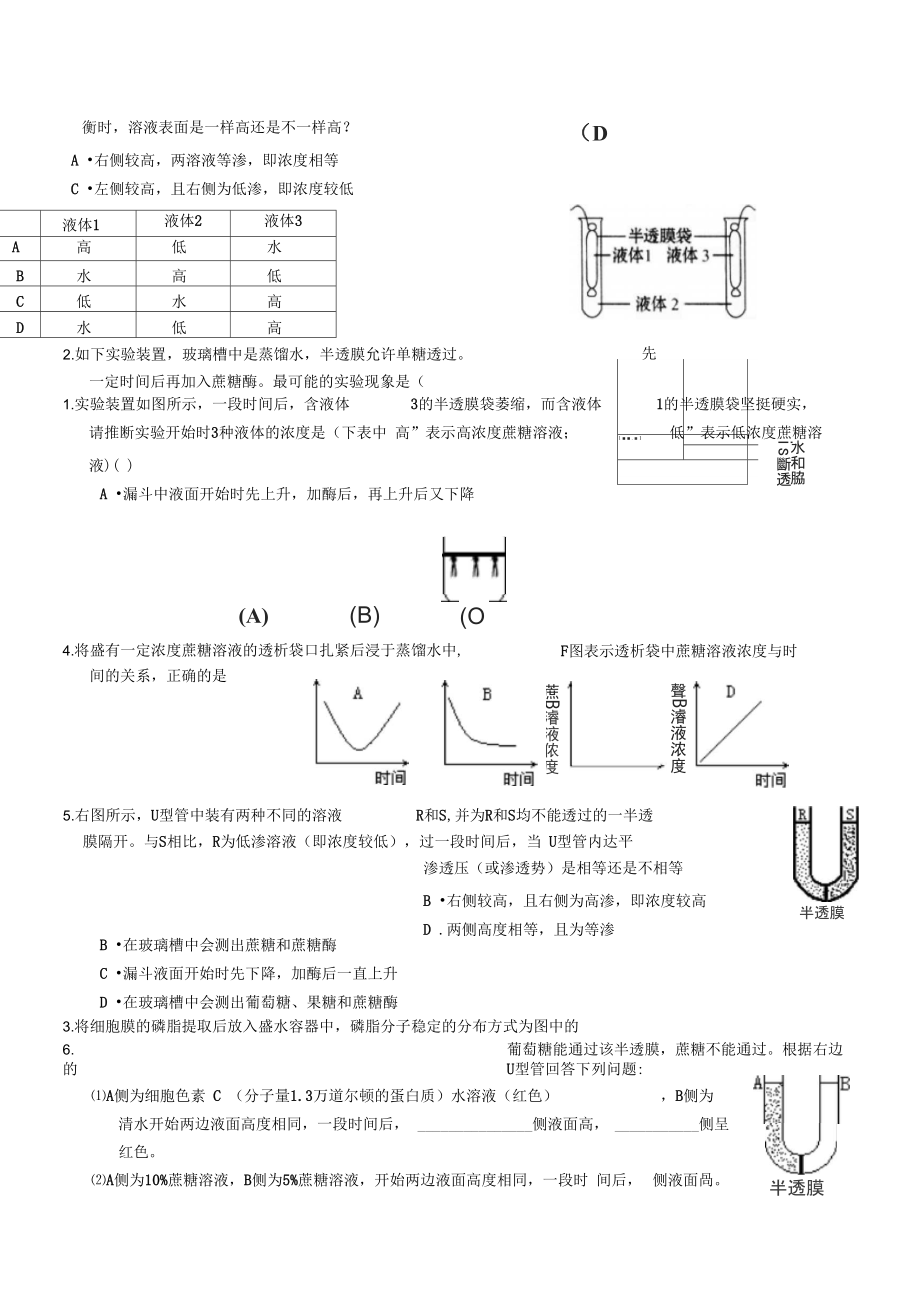 实验5通过模拟实验探究膜的透性.doc