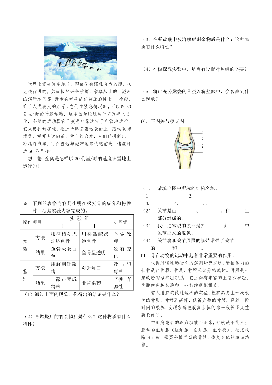 北师大版生物八年级上册全套试题带答案.doc