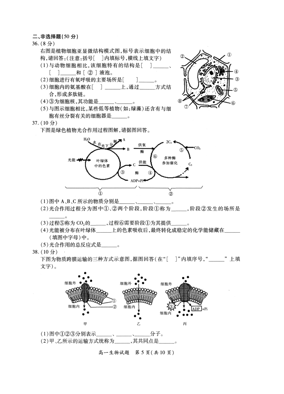 厦门市学第一学期高一级生物质量检测含答案.doc