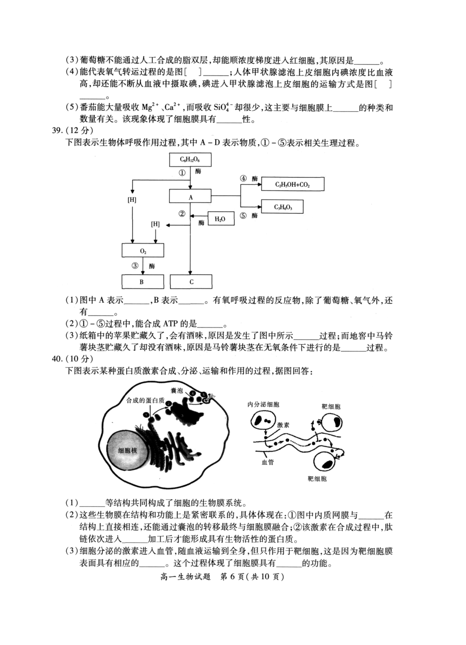 厦门市学第一学期高一级生物质量检测含答案.doc