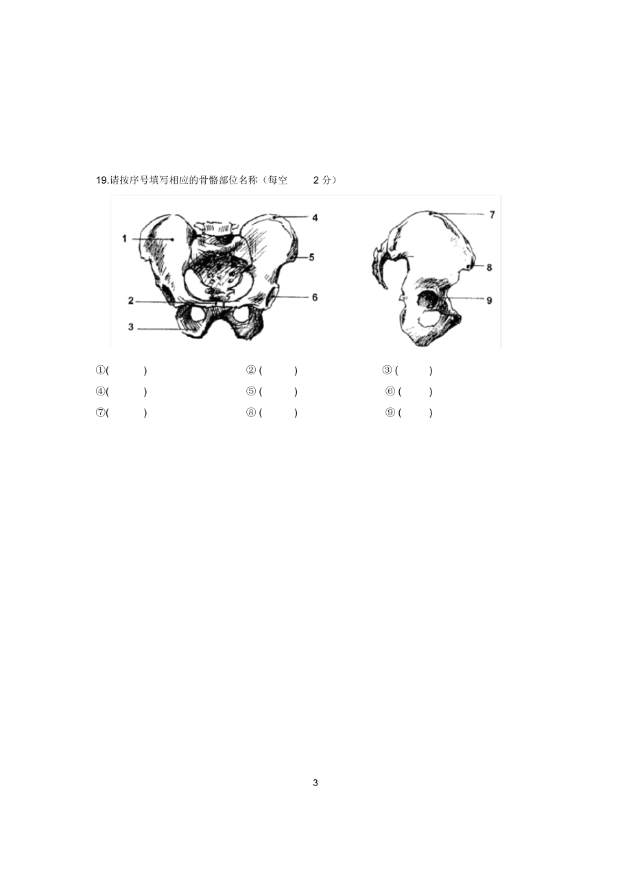 (最新整理)10月浙江自考美术技法理论试题及答案解析.doc