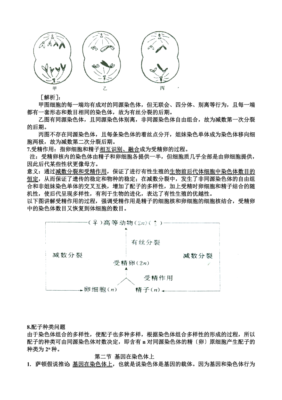 高中生物知识点整理大全.doc