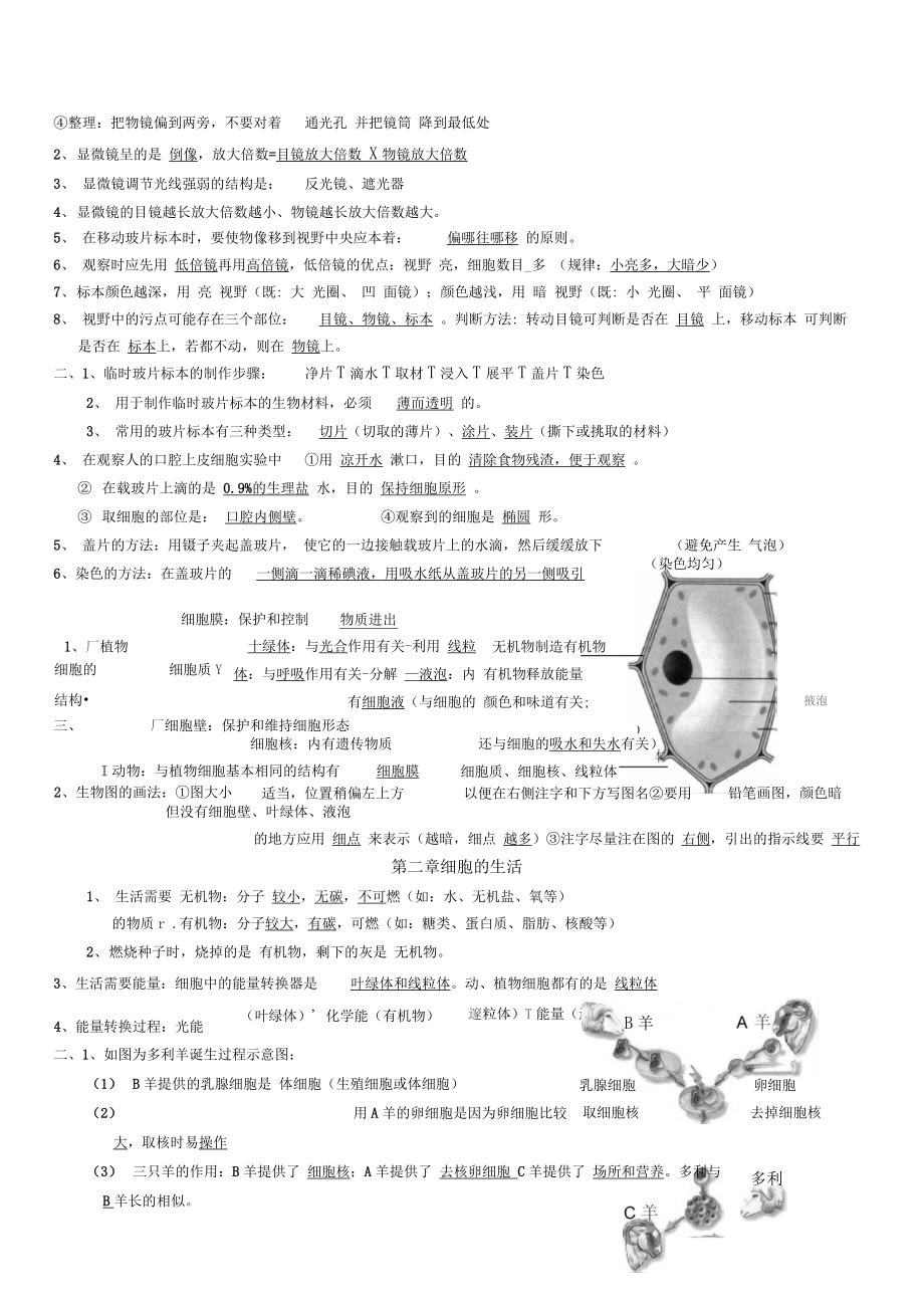 七年级生物上册期中复习知识点整理.doc