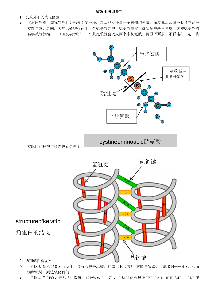 烫发水培训资料.doc