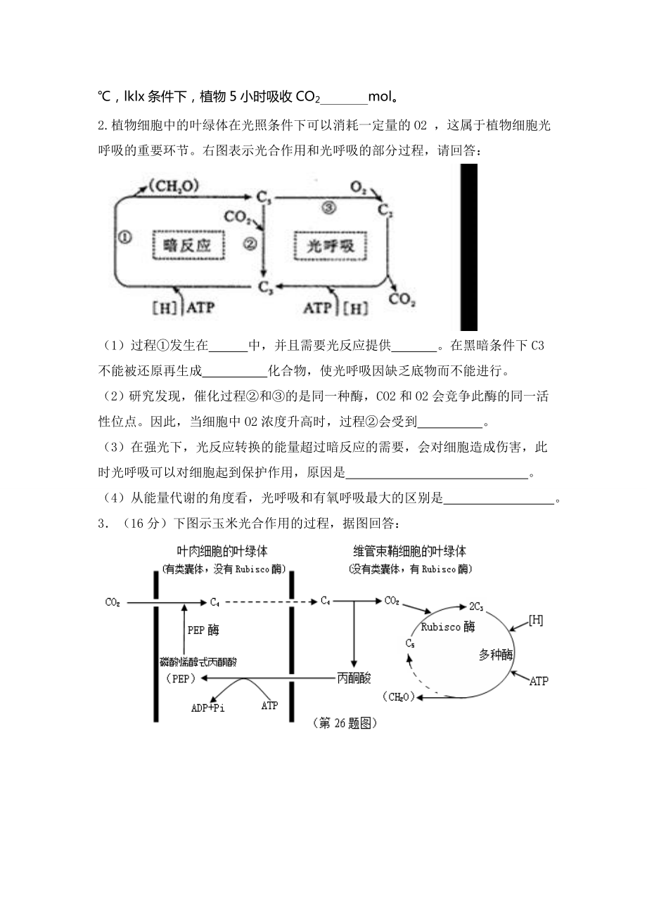 光呼吸及C4与C3植物试题强化Word版.doc