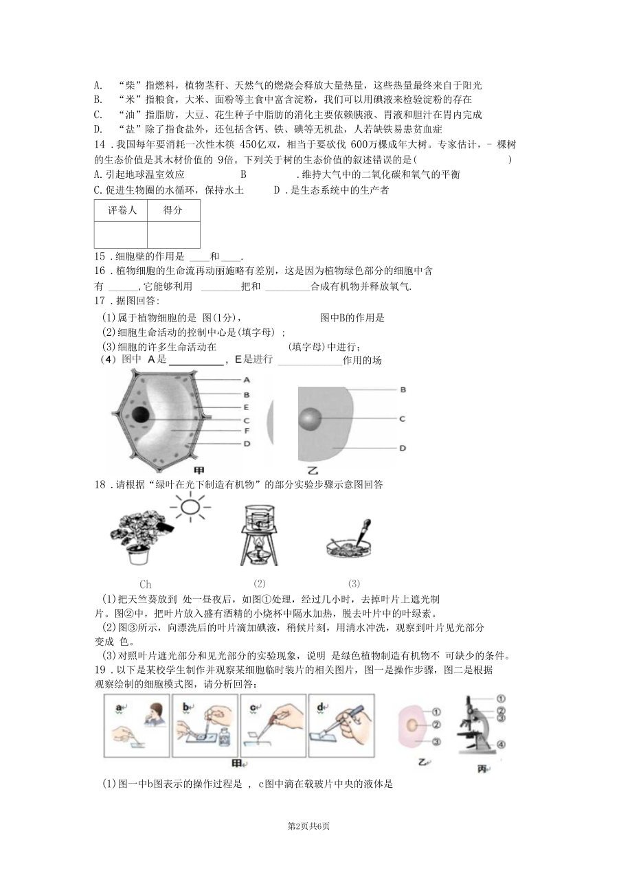 北师大版七年级生物上册期末考试题附答案.doc