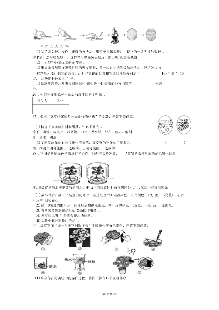 北师大版七年级生物上册期末考试题附答案.doc