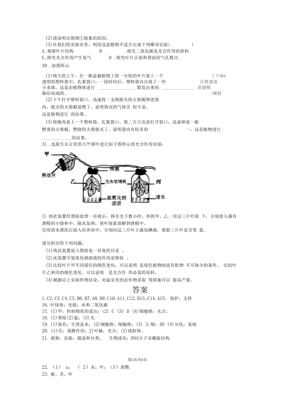 北师大版七年级生物上册期末考试题附答案.doc