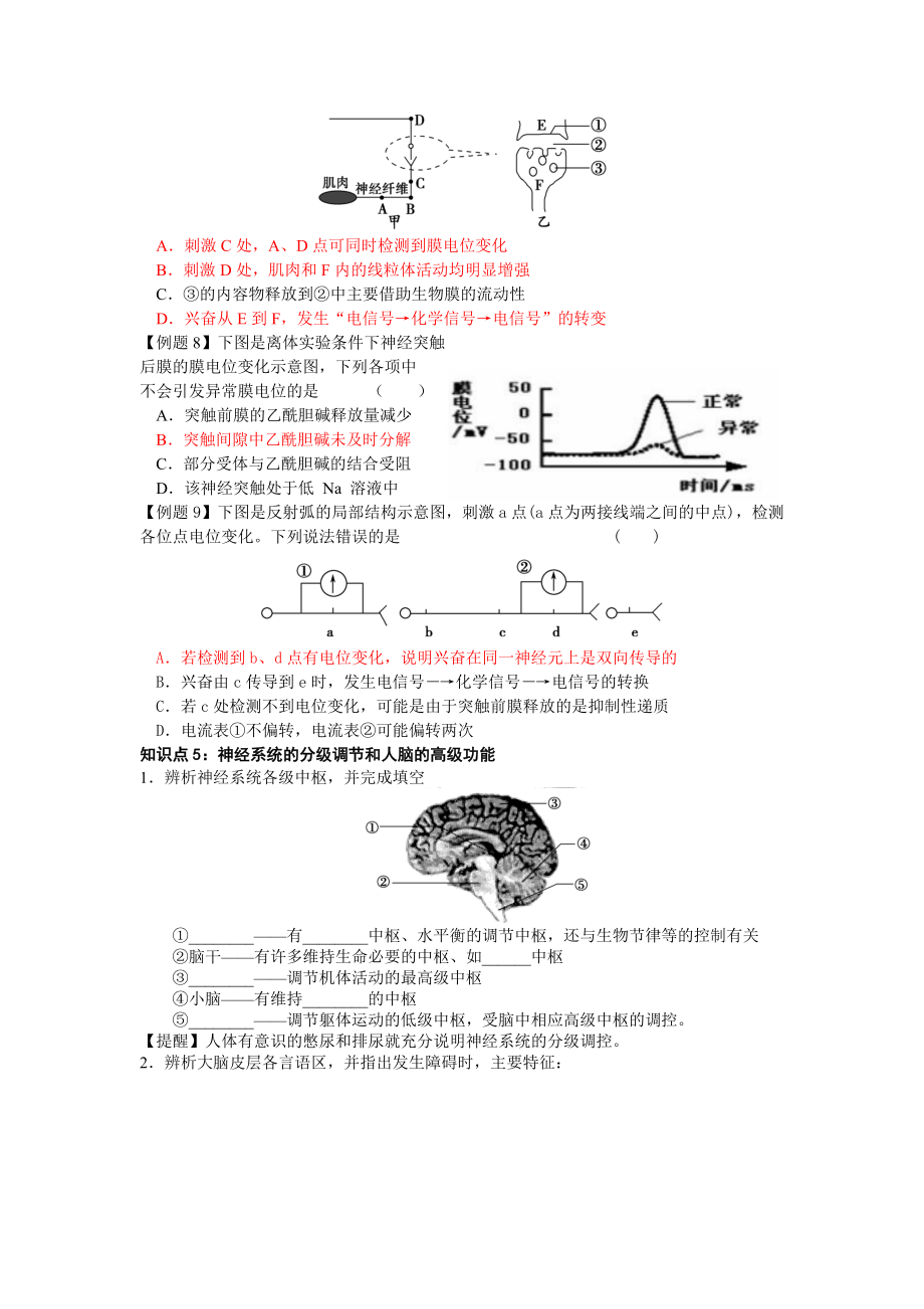 高二生物神经调节.doc