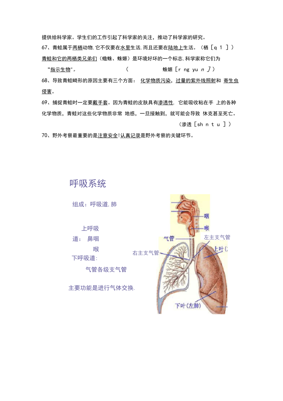 大象版小学科学四年级下册科学期末复习知识点全汇总.doc