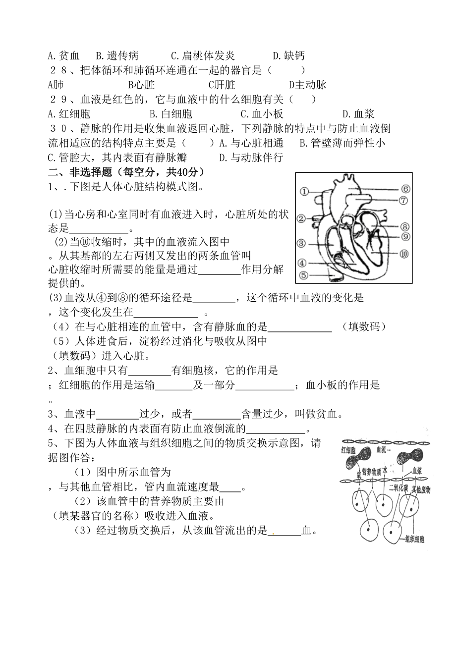 七年级生物血液循环试题.doc