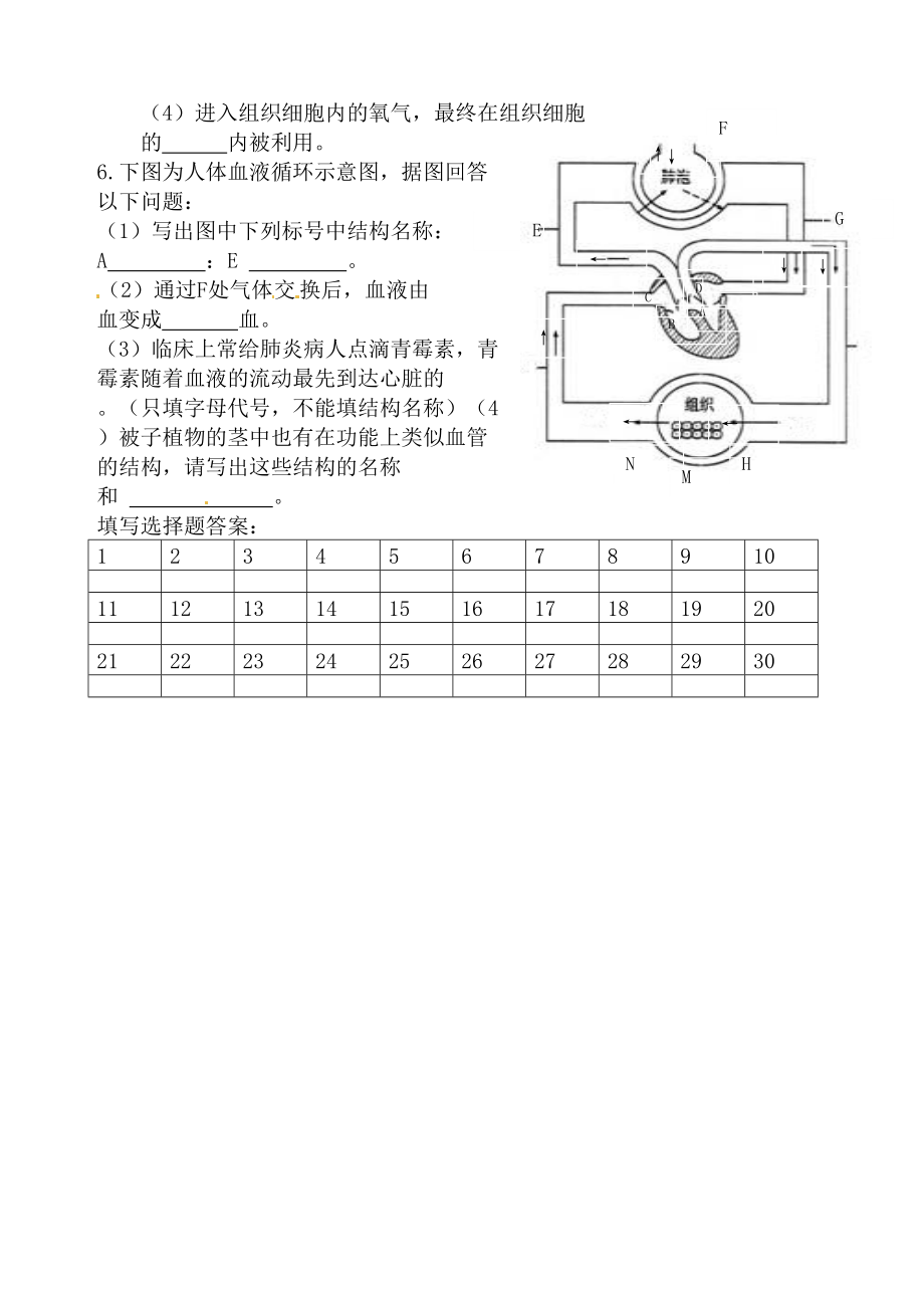 七年级生物血液循环试题.doc