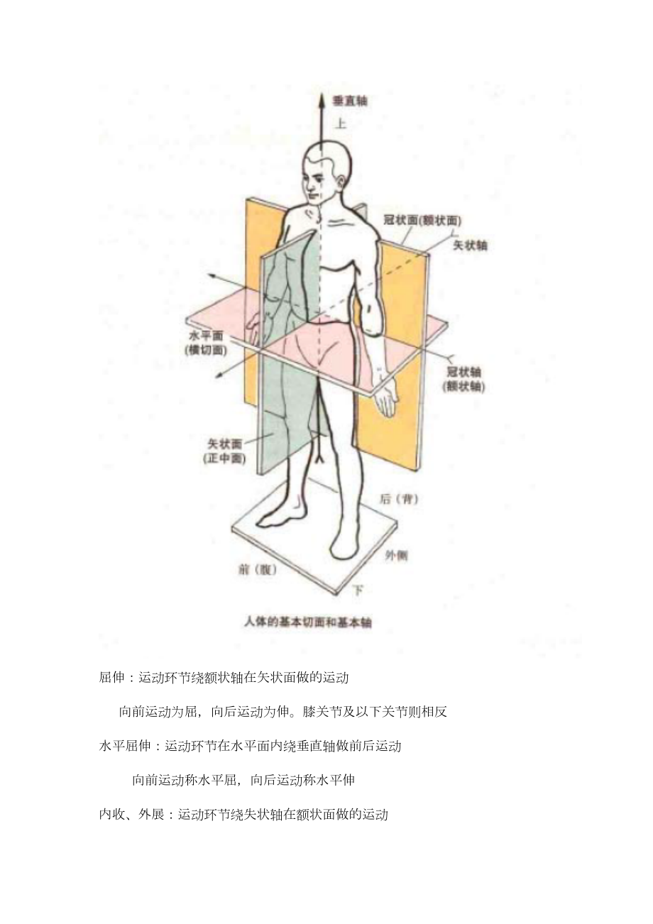 初级健身教练考试资料.doc