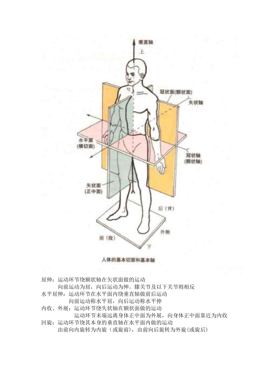 初级健身教练考试资料Word版.doc