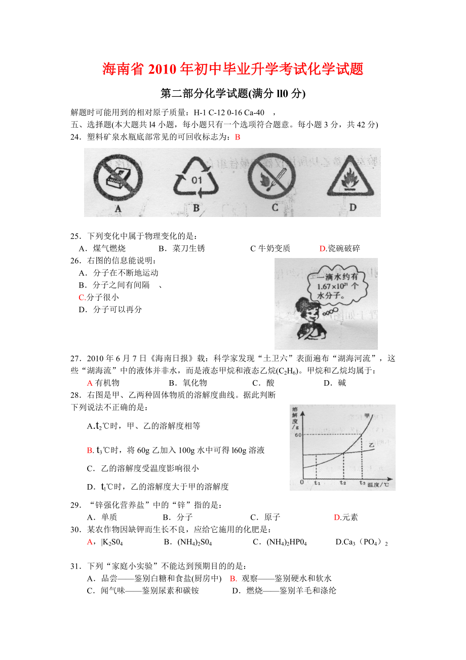 2010年海南省中考化学试题及答案.doc