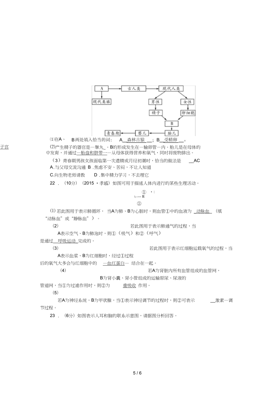 七年级生物下学期期末测试题人教版.doc