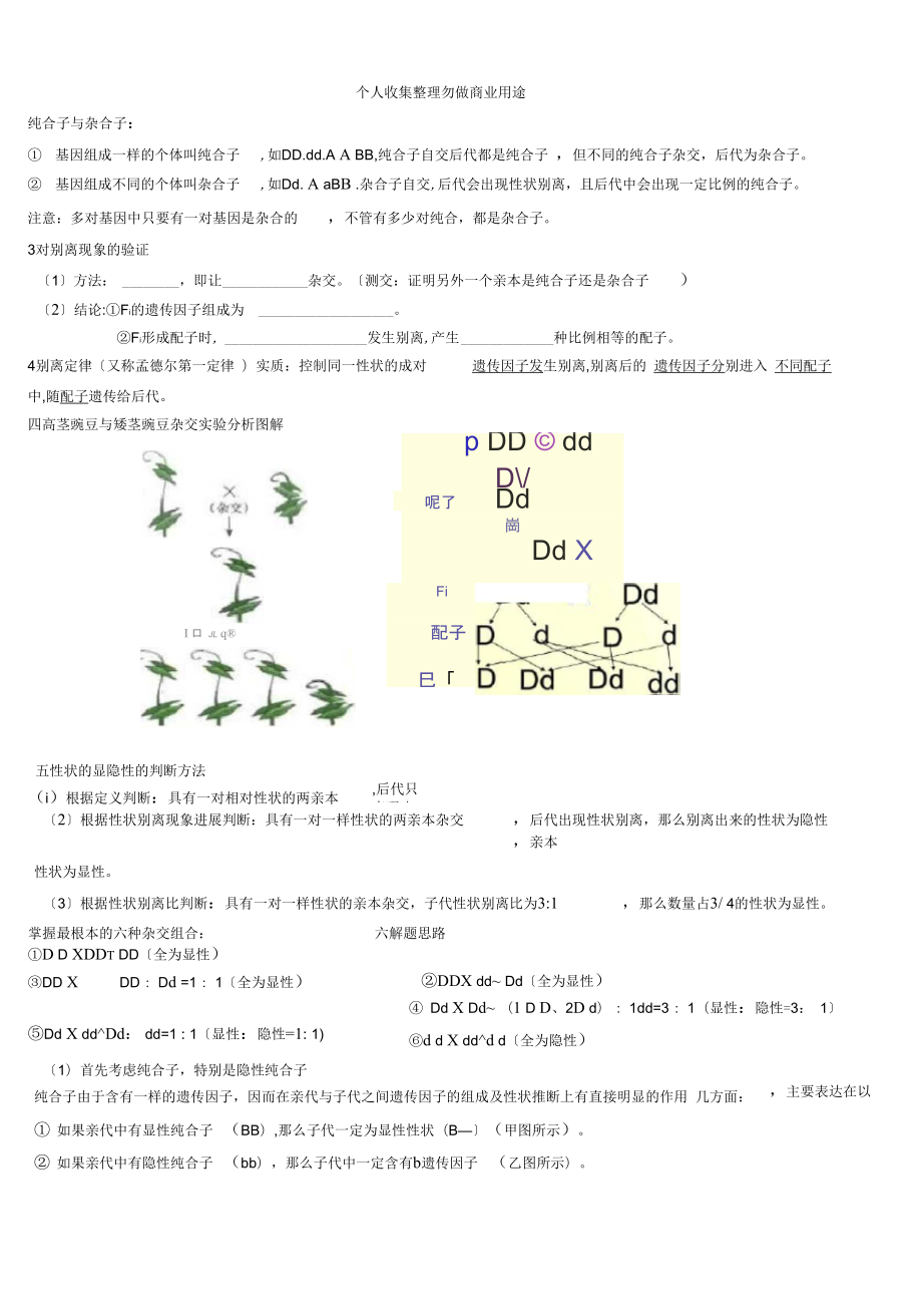 复习一孟德尔豌豆杂交实验一.doc