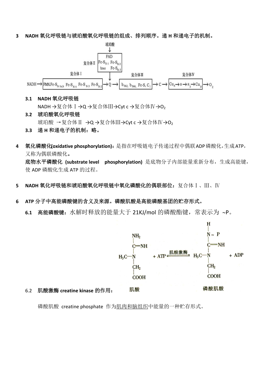 生物化学知识点_4生物氧化整理.doc