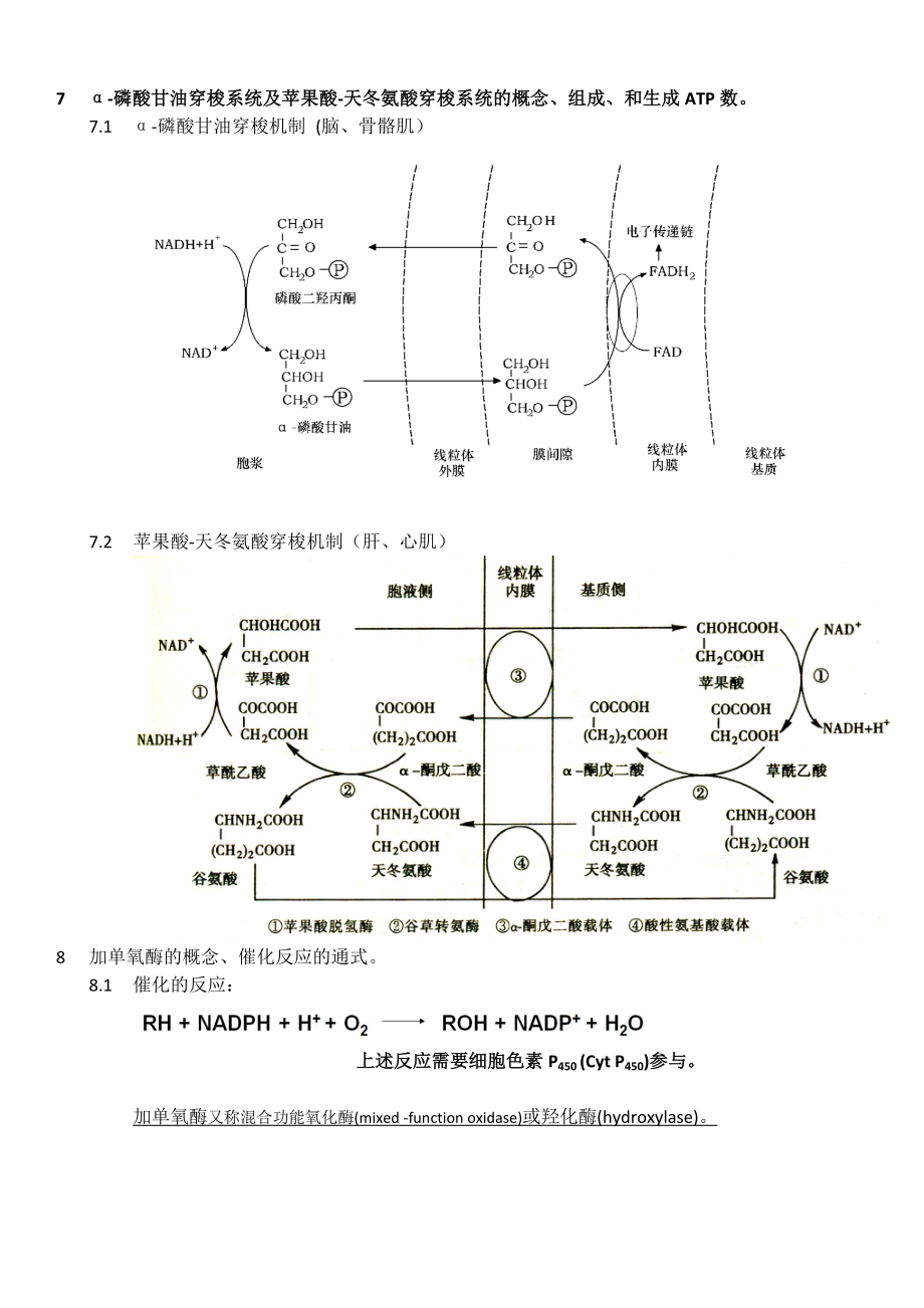 生物化学知识点_4生物氧化整理.doc