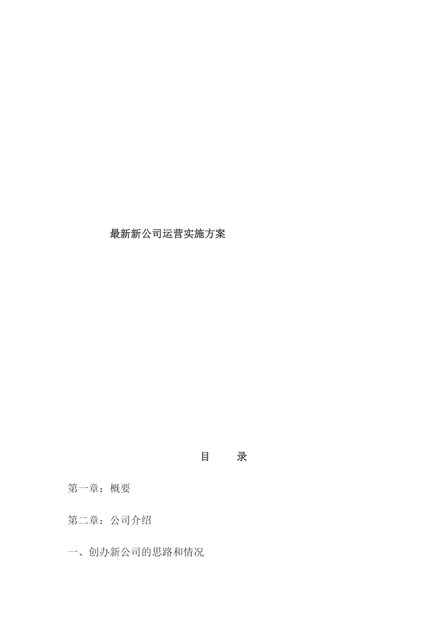 最新新公司运营实施方案.doc