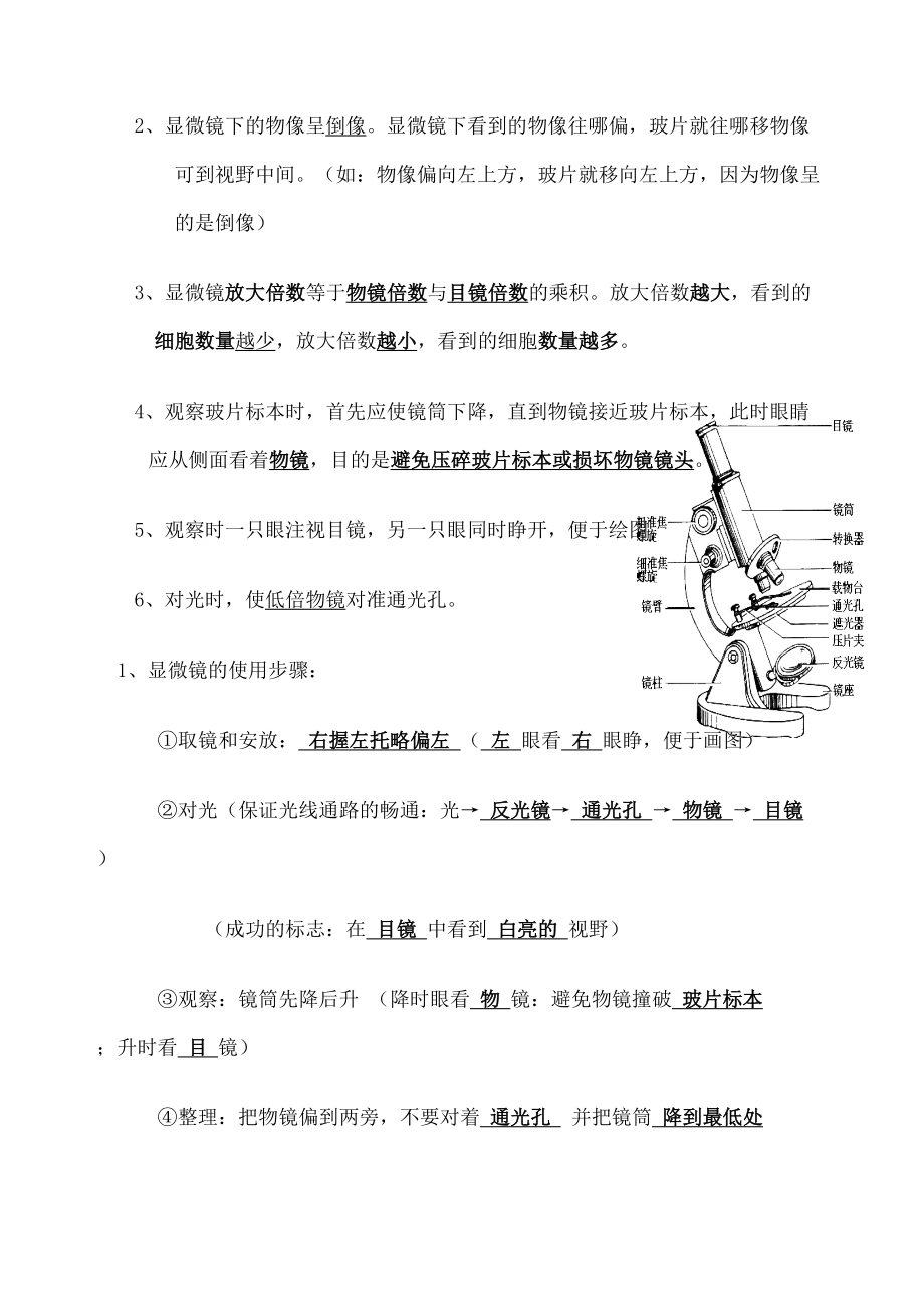 人教版七年级生物上册知识点总结.doc