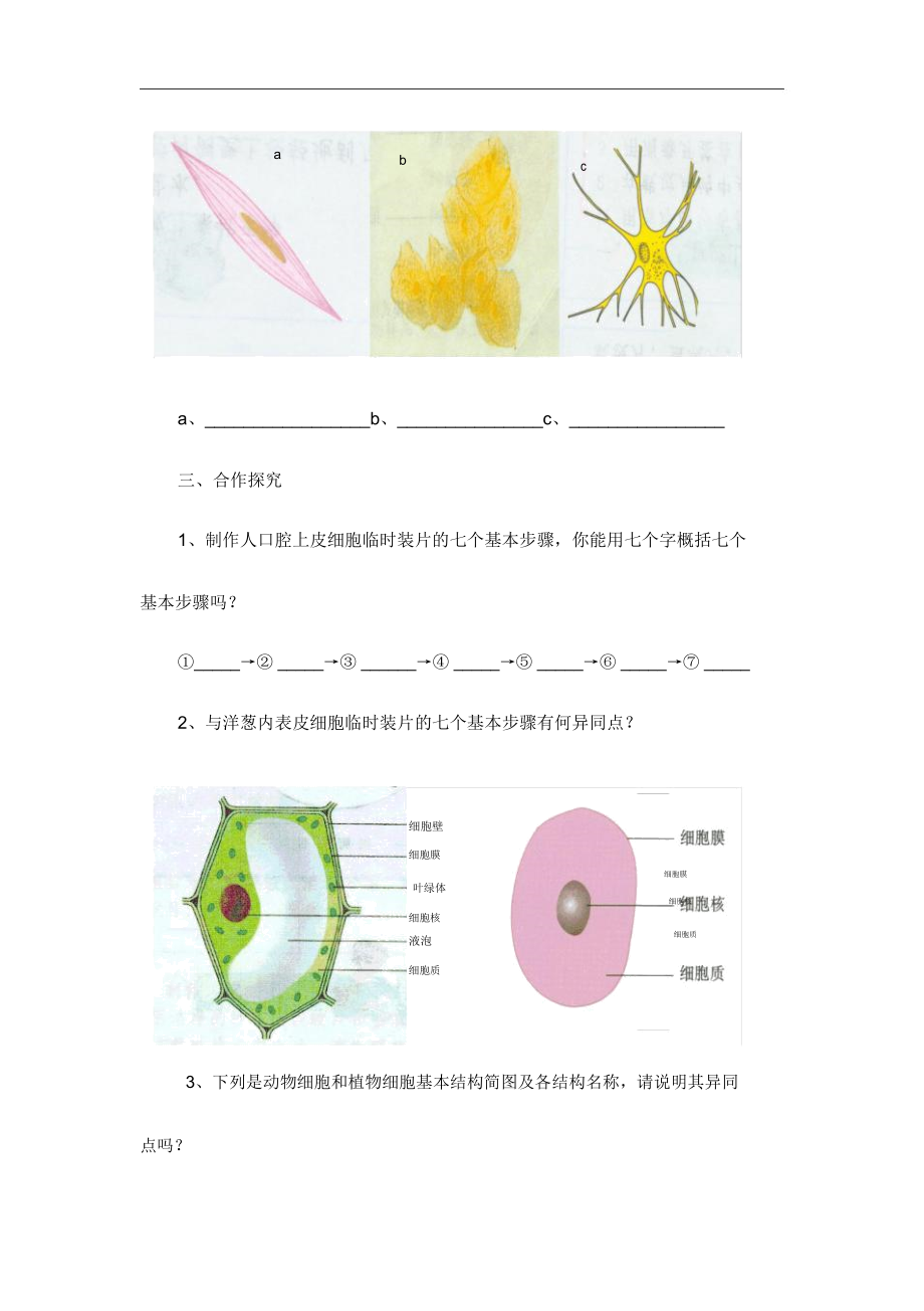 人教版七年级生物上册《动物细胞》教学设计.doc