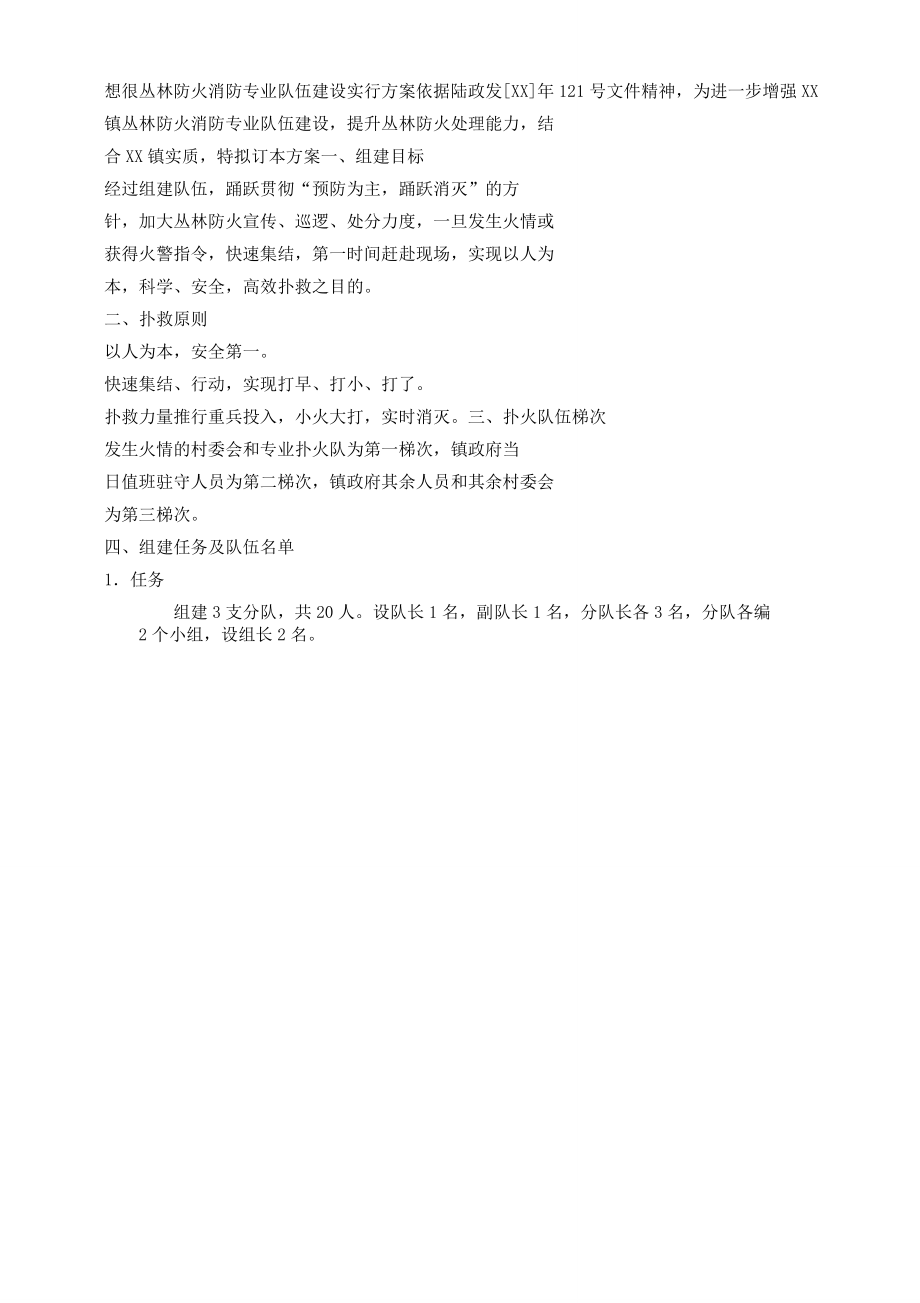 想很森林防火消防专业队伍建设方案.doc