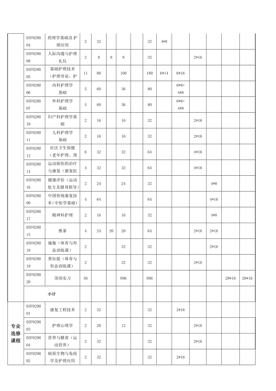 护理人才培养方案.doc