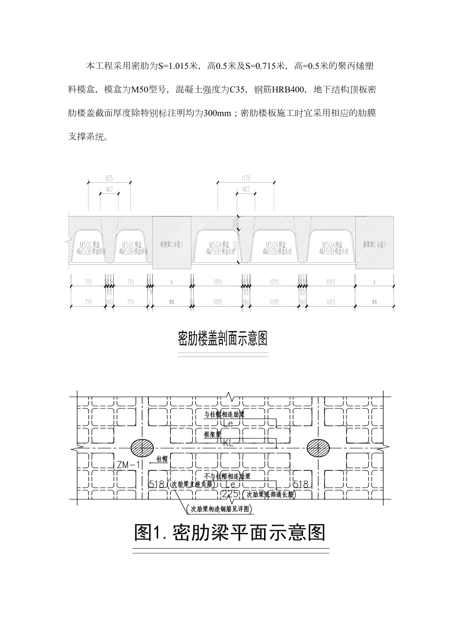 密肋楼盖施工方案.doc