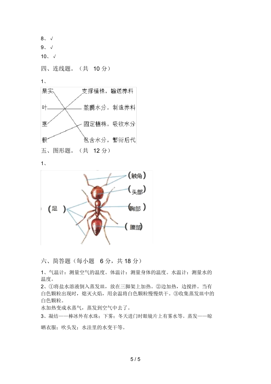 三年级科学上册期末试卷(真题).doc