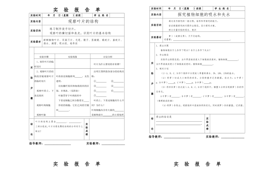 初中生物实验报告单.doc