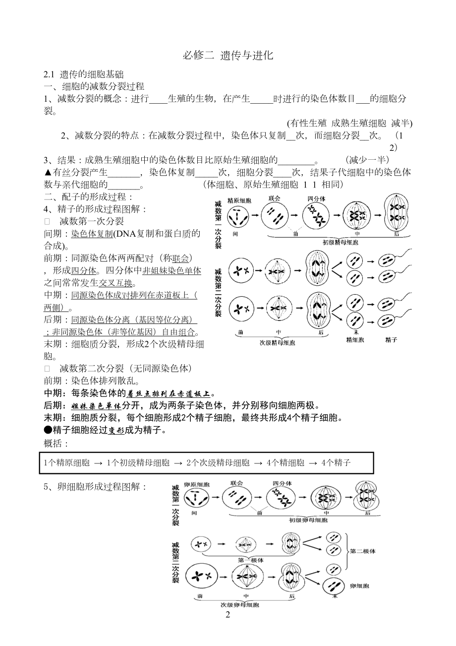 生物必修二知识填空(含答案).doc