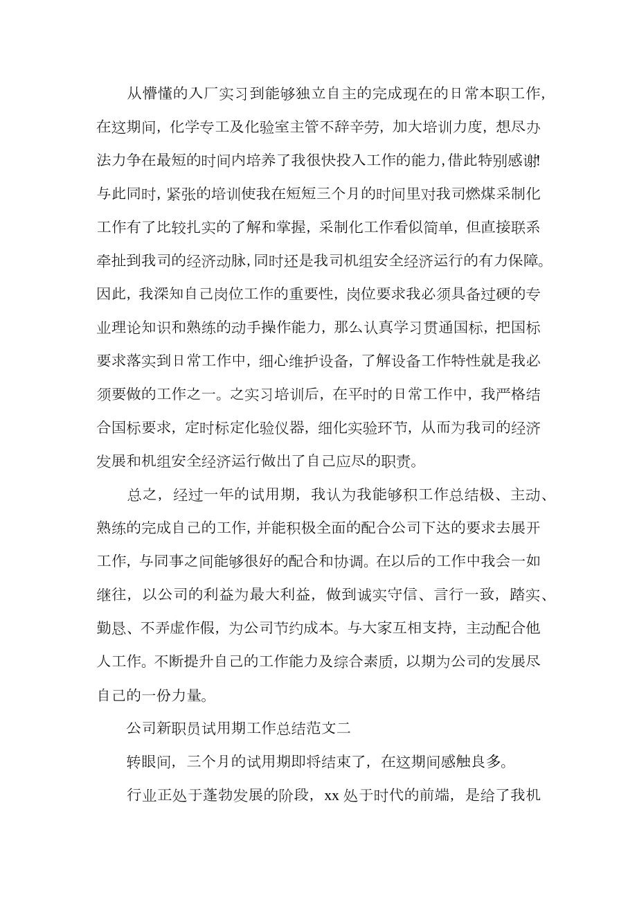 公司新职员试用期工作总结.doc