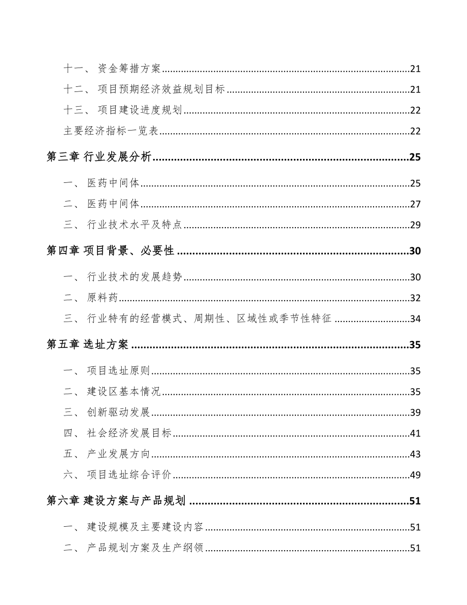 珠海医药中间体项目实施方案（范文）.doc