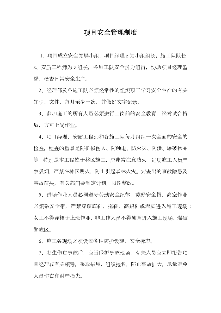 项目安全管理制度.doc