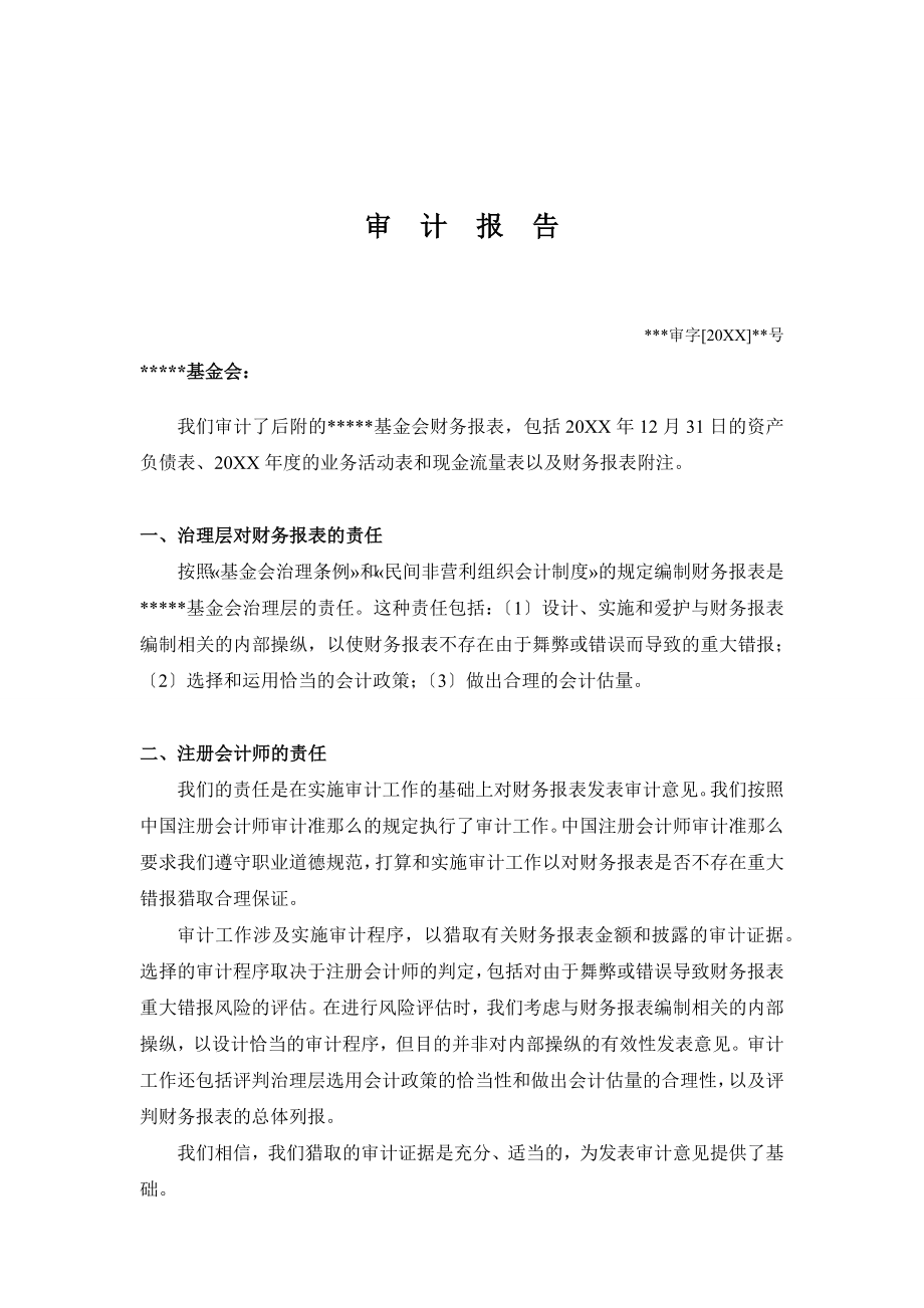 基金会年度审计报告.doc